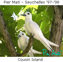 Pier Matì - Seychelles '97-'98 - image from Cousin Island