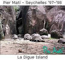 Pier Matì - Seychelles '97-'98 - image from La Digue Island